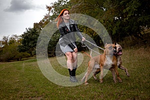 Woman with two beautiful American Staffordshire pitbulls