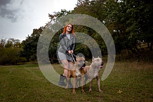 Woman with two beautiful American Staffordshire pitbulls