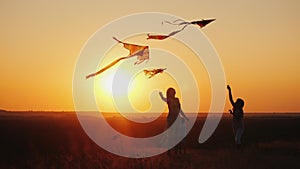 A woman with two children - a girl and a boy playing kites. Active lifestyle