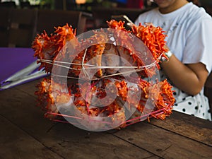 Woman with two king crabs Alaska frozen ready on wood table for cooking