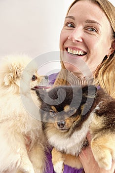 A woman with two pomeranians on her hands close-up
