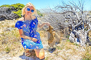 Woman with two Quokka