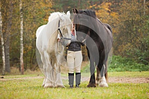 Woman with two shire horses