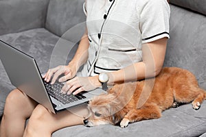 Woman typing and working on laptop with dog Mix breed lying on her knee