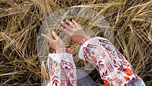 Woman in ukrainian embroidered shirt touching ripe ears of barley or wheat in sunset light. Rich harvest, agriculture