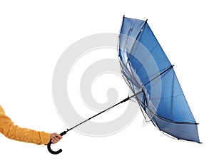 Woman with umbrella caught in gust of wind on white background, closeup