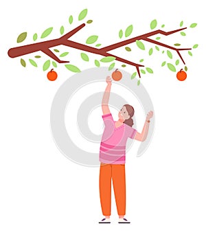 Woman under apple tree branch. Gardening concept