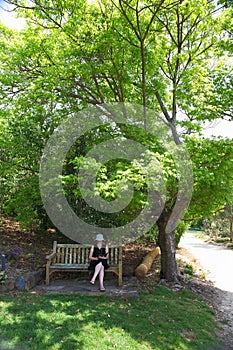 Woman under shady tree in park at hot day in summer