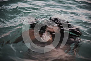 Woman underwater. Mental health concept.