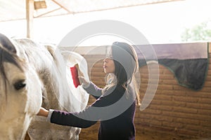 Woman Using Brush To Groom Horse