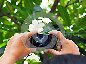 Woman using compact camera to take a flower