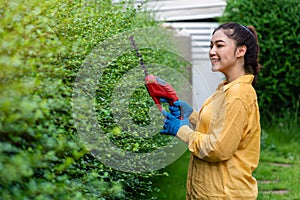 Woman using  cordless electric hedge cutting and trimming plant in garden at home