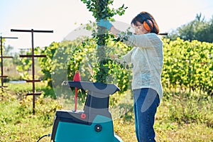 Woman using electric garden shredder for branches and bushes