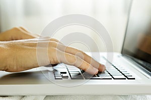 Woman using laptop pc. Female hands on the keyboard.