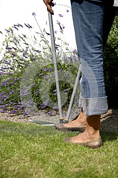 Woman using lawn edging shears. Conceptual image