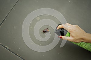 Woman using poisonous spray to kill cockroach