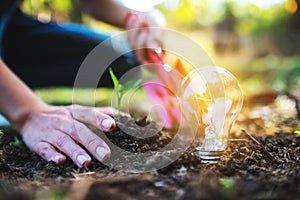 A woman using shovel to plant a small tree with a lightbulb glowing on the ground