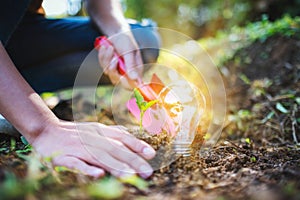 A woman using shovel to plant a small tree with a lightbulb glowing on the ground