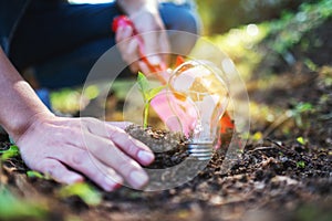 A woman using shovel to plant a small tree with a lightbulb glowing on the ground