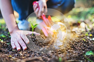 A woman using shovel to plant a small tree with a lightbulb glowing on the ground