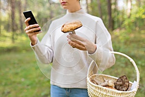 Woman using smartphone to identify mushroom