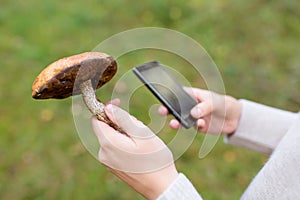 Woman using smartphone to identify mushroom