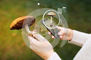 Woman using smartphone to identify mushroom