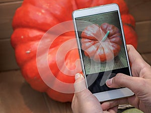 Woman using smartphone to take photos of big pumpkin. Mobile photo of orange pumpkin