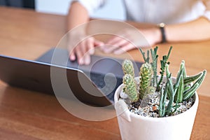 A woman using and touching on laptop computer touchpad with cactus pot on wooden table