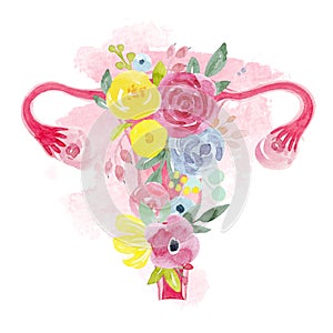 Woman uterus with flowers illustration photo