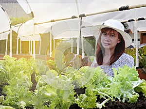 The woman in the vegetable farming with yellow light background