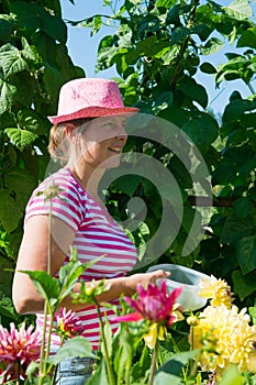 Woman in vegetable garden