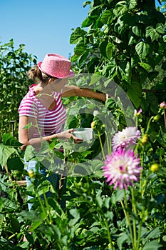 Woman in vegetable garden