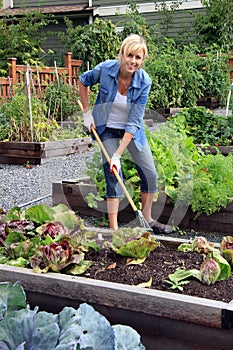 Woman vegetable garden