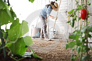 Woman in the vegetable garden with rake from the wooden wall of tools, healthy organic food produce