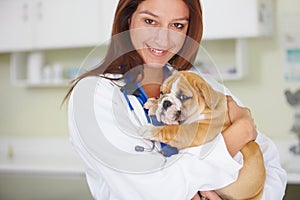 Woman vet, dog and clinic portrait with smile, care and love for health, wellness or growth. Female veterinarian, doctor