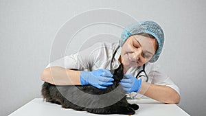 Woman veterinarian examines the ears of a black cat