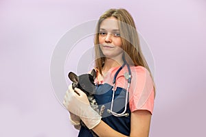 Woman veterinarian holding chinchilla in her arms