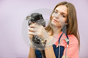 Woman veterinarian holding chinchilla in her arms