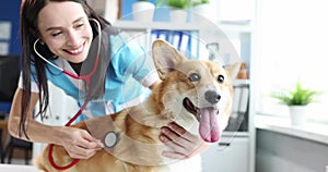 Woman veterinarian listening with stethoscope to dog in clinic 4k movie