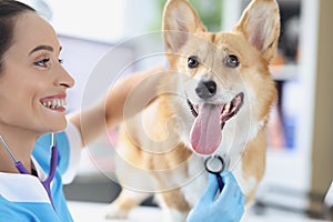 Woman veterinarian listening with stethoscope to pedigree dog with tongue sticking out