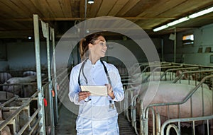 Woman veterinarian looking to side using tablet to check data on pigs