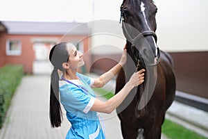 Woman veterinarian looks at the horse