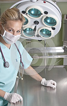 Woman veterinary operating room