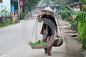 Woman in Vietnam wearing traditional triangular straw palm hats