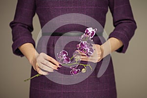 Woman in violett 50`s dress hands holding some orchid flowers