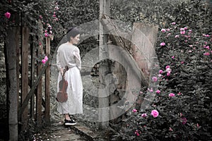 Woman with violin in rose garden