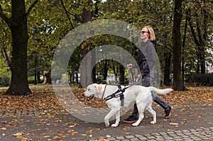 Woman with visual impairment walking with a guide dog through park photo