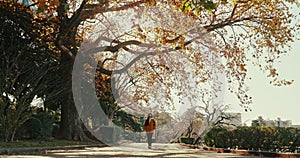 Woman, walk and path in nature park in autumn by trees, lens flare or orange leaves for travel on holiday. Girl, person