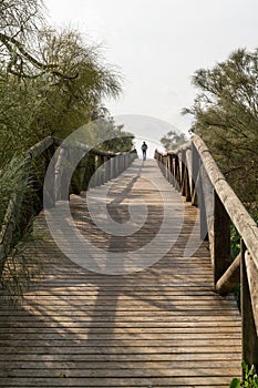 Woman walking along a long wooden boardwalk photo